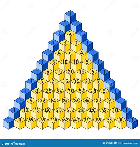 Pascals Triangle Binomial Coefficients Mathematics Cartoon Vector