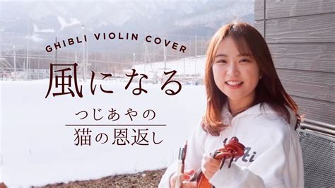 violin cover 風になる つじあやの猫の恩返し 主題歌 YouTube