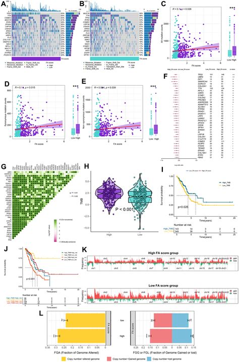 Integrated Comparisons Of Somatic Mutation And CNVs Between FA Score