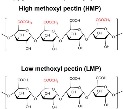 PDF Effects Of Pectin On Intestinal Microbiota And Human Health