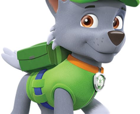 Paw Patrol Rocky Png Images Transparent Background Png Play