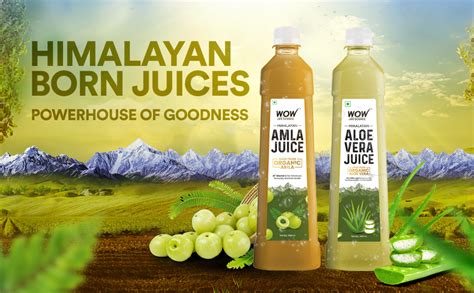 WOW Life Science Himalayan Amla Juice 1L 2X Vitamin C Made With