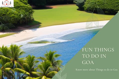 Fun Activities In Goa Shambala Stays