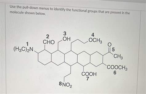 Solved Use The Pull Down Menus To Identify The Functional Chegg