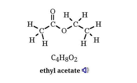 Ethyl Acetate Lewis Structure