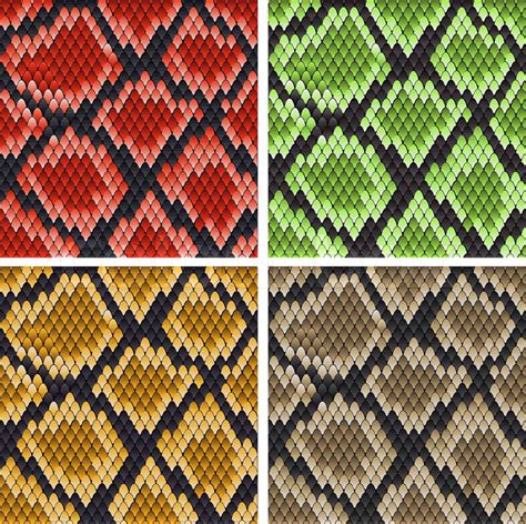 Set Of Snake Skin Patterns For Design Or Ornate Stock Vector Colourbox