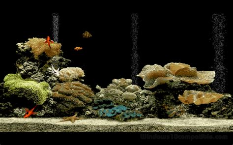 Free Aquarium Screensaver 1.0 Free download