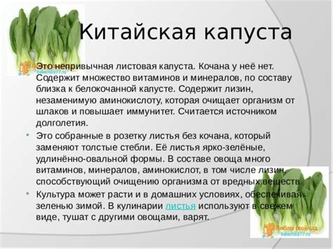 "Презентация "Капуста""