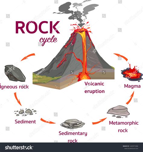 Science Rock Cycle Royalty-Free Images, Stock Photos & Pictures ...