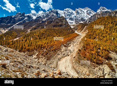 gangotri glacier high resolution stock photography  images alamy