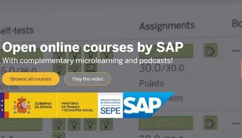 Nuevos Cursos Sap Gratis Del Sepe Para Formarte Desde Casa