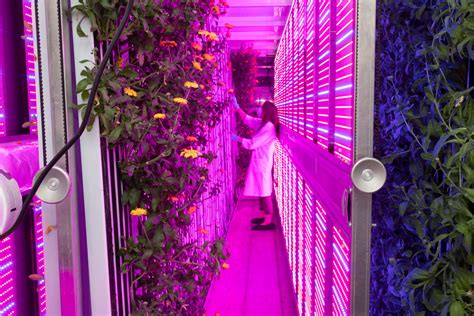 Meet some of the entrepreneurs reinventing the food and restaurant