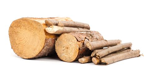 Wood definition and meaning | Collins English Dictionary
