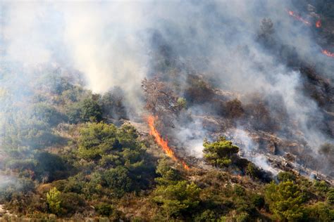 Les 5 pistes de Fransylva pour lutter contre les feux de forêts