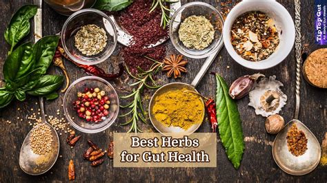 Best Herbs For Gut Health Boost Gut Health With Herbs 2022