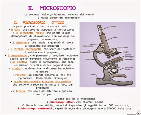 Paradiso Delle Mappe Il Microscopio