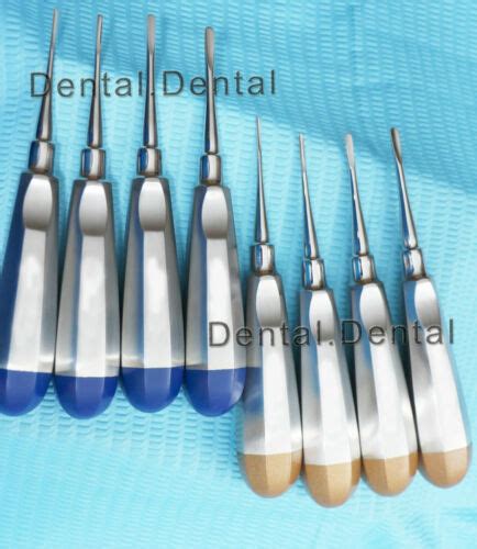 STRAIGHT DENTAL SURGERY EXTRACTING LUXATING APICAL ROOT TIP PDL