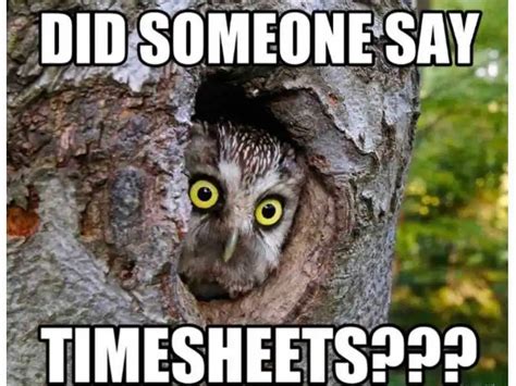 25 Funny Timesheet Memes And Reminders For The Forgetful