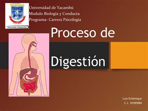 Proceso de la Digestión PPT Descarga Gratuita