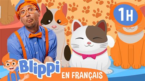 La Chanson des animaux Blippi en français Vidéos éducatives pour