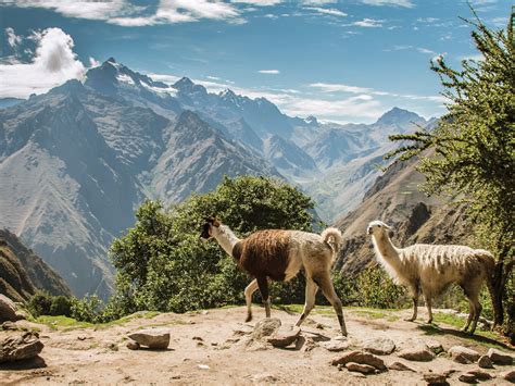 Peru Photos -- National Geographic
