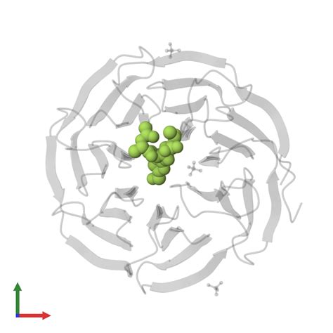 Pdb Pgd Gallery Protein Data Bank In Europe Pdbe Embl Ebi