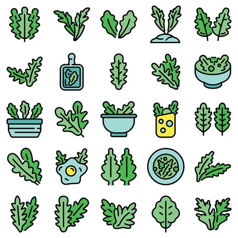 Arugula Icons Set Vector Flat 8604176 Vector Art At Vecteezy