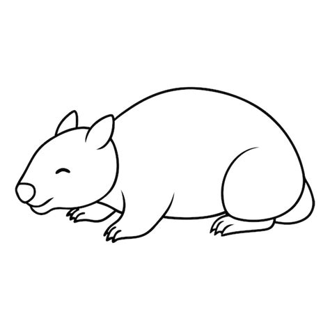 Wombat Alert Posture Line Art Premium Ai Generated Vector