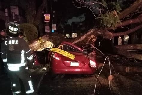 Lluvias Cdmx Muere Mujer En Tormenta Al Caerle Un Rbol Encima En