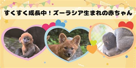 よこはま動物園ズーラシア公式サイト｜公益財団法人 横浜市緑の協会