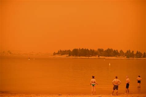 Los Incendios Forestales Australianos Masivos Aumentaron El Agujero De Ozono En La Antártida