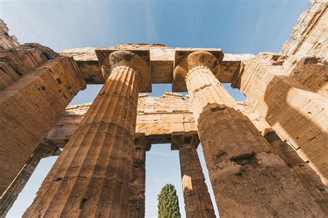 Il Vescovado Cultura Torna Domenicalmuseo Novembre Ingresso