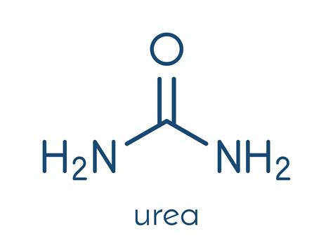 The Urea Cycle - FoodWrite
