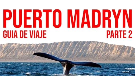 Puerto Madryn Turismo La Gu A De Viaje M S Completa Parte Youtube