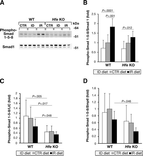 Figure From Bone Morphogenetic Protein Signaling Is Impaired In An