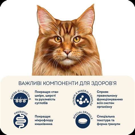 Сухой корм для стерилизованных котов больших пород HOME FOOD Телятина ...
