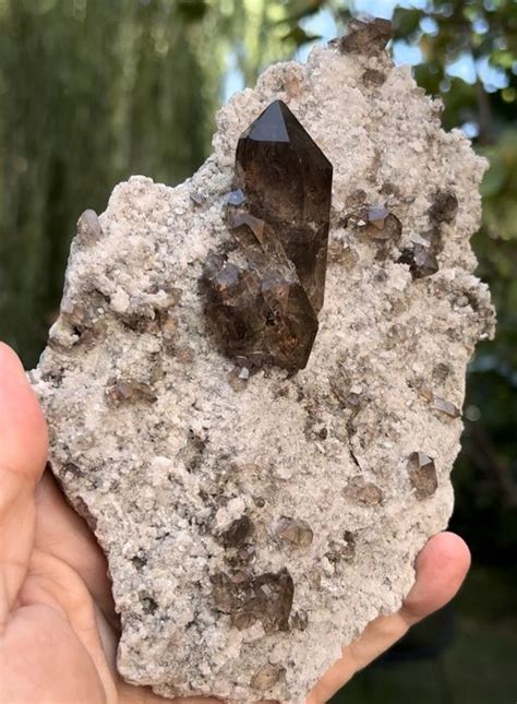 Smoky Quartz Cristalli Su Matrice Altezza Cm Catawiki