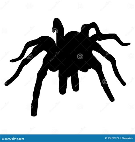 Vector Tarantula Spider Silhouette 222205104