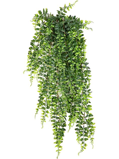 Папоротник Бостон ампельный 75 (искусственный) Nieuwkoop Europe ...