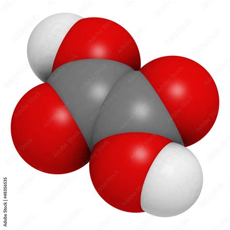 Oxalic Acid Molecule Its Salt Calcium Oxalate Is The Main Com Stock Illustration Adobe Stock