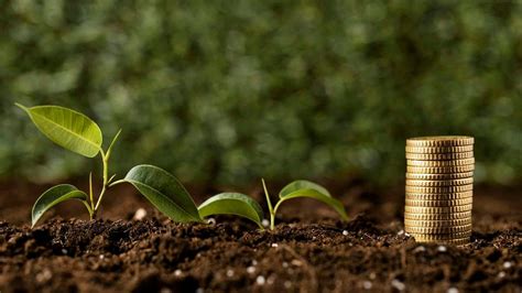 Bonus Verde Interventi Ammessi Per Avere Fino A Euro