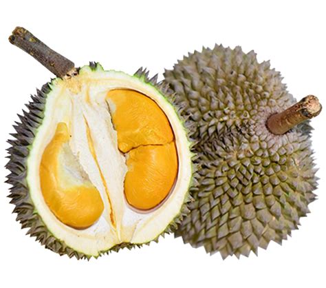 Pure Malaysia Fresh Black Thorn Durian Malaysia Price Supplier 21food