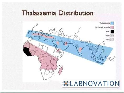 To Know Thalassemia