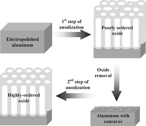 Figure 12 3 From Fabrication Of Nanowires And Nanotubes By Anodic Alumina Template Assisted