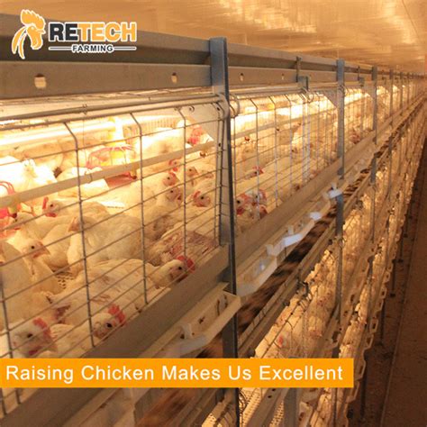 Automatic H Type Tiers Broiler Chicken Cage Poultry Farming Equipment