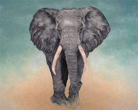 Elephant Peinture Par Tracy De Sousa Artmajeur Peinture D L Phant