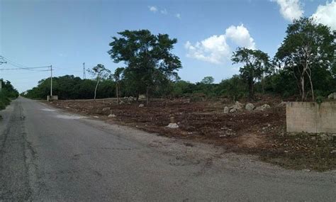 Venta Lote De Terreno En Santa Gertrudis Copo M Rida Yucat N Eb