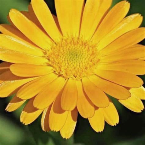 Pain After Anal Intercourse Why Does It Happen