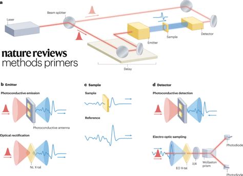 Nature Reviews Methods Primers On Twitter This Weeks Primer