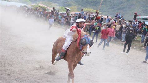 Wisata Aceh Tengah Pacuan Kuda Tradisional Jadi Destinasi Wisata